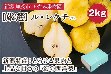 【2026年先行予約】新潟特産 幻の洋梨ル・レクチェ 厳選プレミアム 約2kg（5～7玉）《11月下旬～順次出荷》 令和5年新潟県ル・レクチェ果実品評会「県知事賞」 果物 贈答 冬の味覚 産地直送 いたみ果樹園