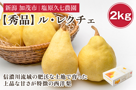 【2026年先行予約】新潟特産 幻の洋梨ル・レクチェ 秀品 約2kg (5～6玉) 《11月下旬～順次発送》 塩原久七農園