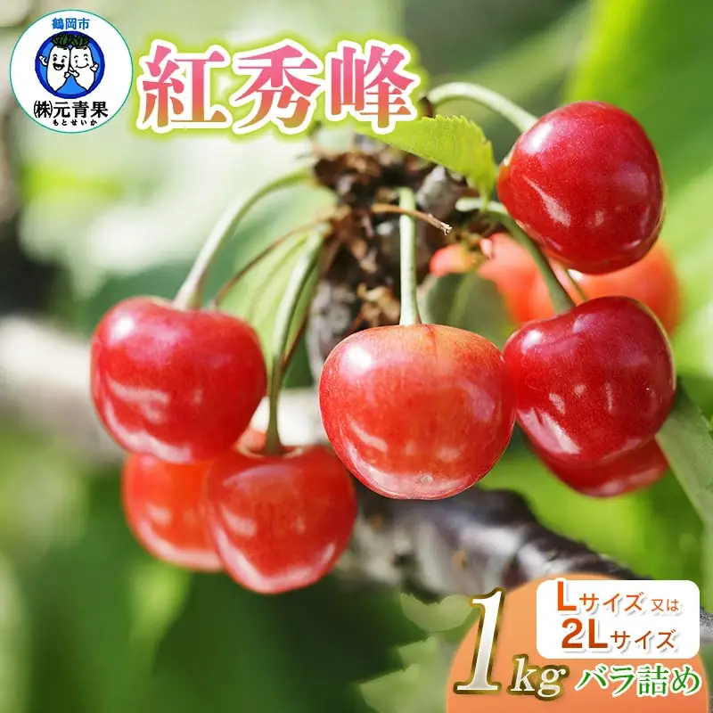 【令和8年産先行予約】 さくらんぼ 紅秀峰 (L又は2Lサイズ) 1kg バラ詰め 山形県鶴岡市産　株式会社 元青果