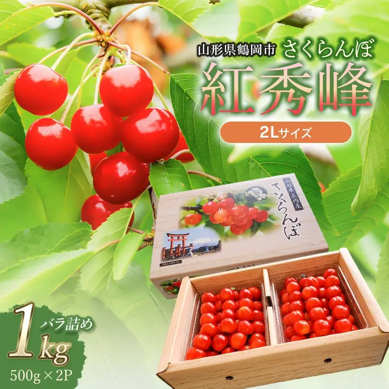 【令和8年産】 さくらんぼ　紅秀峰 2Lサイズ バラ詰め 1kg(500g×2P)　小林農園　| 紅秀峰 さくらんぼ サクランボ 人気 山形県産 約1kg 大粒 美味しい 甘い 完熟 ジューシー 朝採り 初夏 旬 果物 期間限定 フルーツ 数量限定 産地直送 ギフト 贈答用 送料無料 東北 山形 鶴岡 羽黒町産 返礼品