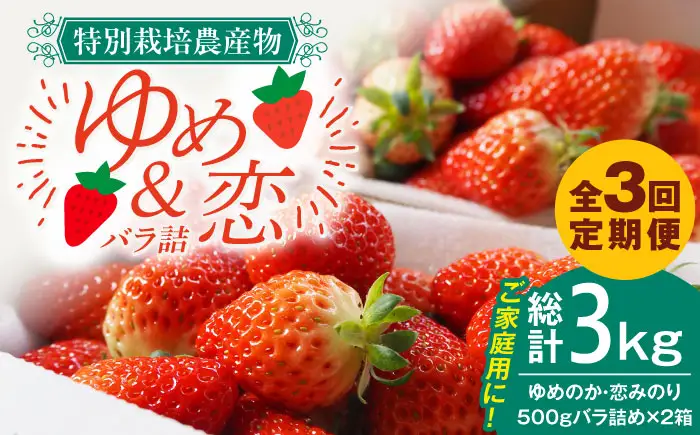 【全3回定期便】 【先行予約】いちご 1kg (ゆめのか/恋みのり) [JEO004]【2027年2月以降順次発送】