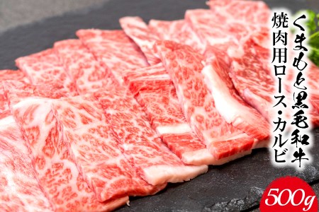 くまもと黒毛和牛 焼肉用ロース・カルビ 500g 《60日以内に出荷予定(土日祝除く)》 熊本県 長洲町 くまもと黒毛和牛 黒毛和牛 牛肉 肉 焼き肉 株式会社 羽根(出荷元：株式会社酒湊)