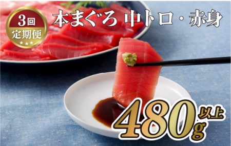《定期便》長崎県産本まぐろ(中トロ･赤身)480g以上【3回お届け】