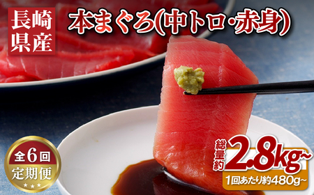 《定期便》長崎県産本まぐろ(中トロ･赤身)480g以上【6回お届け】