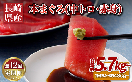 《定期便》長崎県産本まぐろ(中トロ･赤身)480g以上【12回お届け】