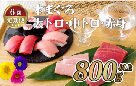 本マグロ【6回定期便】長崎県産 本まぐろ 3種セット  ( 大トロ 中トロ 赤身 ) 総計800g以上【本家永松屋】