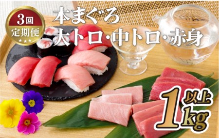 本マグロ【3回定期便】長崎県産 本まぐろ 3種セット  ( 大トロ 中トロ 赤身 ) 総計1kg以上【本家永松屋】