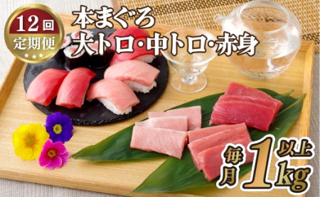 本マグロ【12回定期便】長崎県産 本まぐろ 3種セット  ( 大トロ 中トロ 赤身 ) 総計1kg以上【本家永松屋】