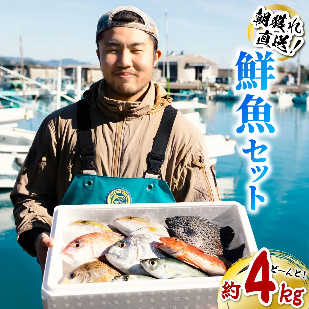 産地直送！ 海陽町より旬の魚をお届け！ 鮮魚セット 中セット 約４kg  詰め合わせ 