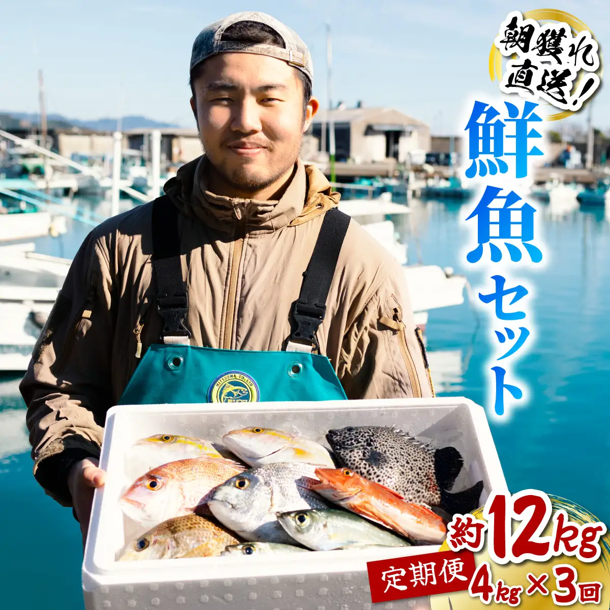 【定期便全３回】産地直送！ 海陽町より旬の魚をお届け！ 鮮魚セット 中セット 約４kg×３ヶ月連続  詰め合わせ 