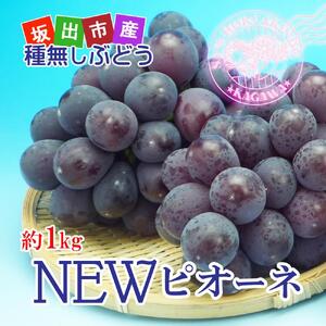 《2026年発送》ニューピオーネ 秀品 2kg ( 約3 ~ 5房 )  ｜ぶどう 香川産 人気品種