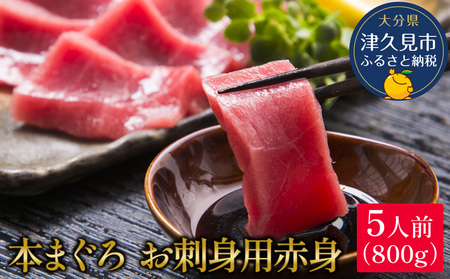 本マグロ お刺身用 赤身 5人前 (800g) | まぐろ 津久見市