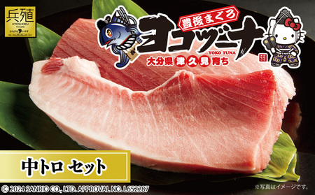豊後 まぐろ ヨコヅーナ 刺し身用・中トロ 400g | 刺し身 津久見市