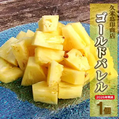 パイナップル【2026年発送】久米島印商店「ゴールドバレル」黄金パイナップル1個（1.3kg以上×1個） パイン フルーツ