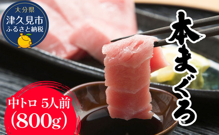 本まぐろ お刺し身用 中トロ 5人前 (800g) | まぐろ 刺し身 津久見市