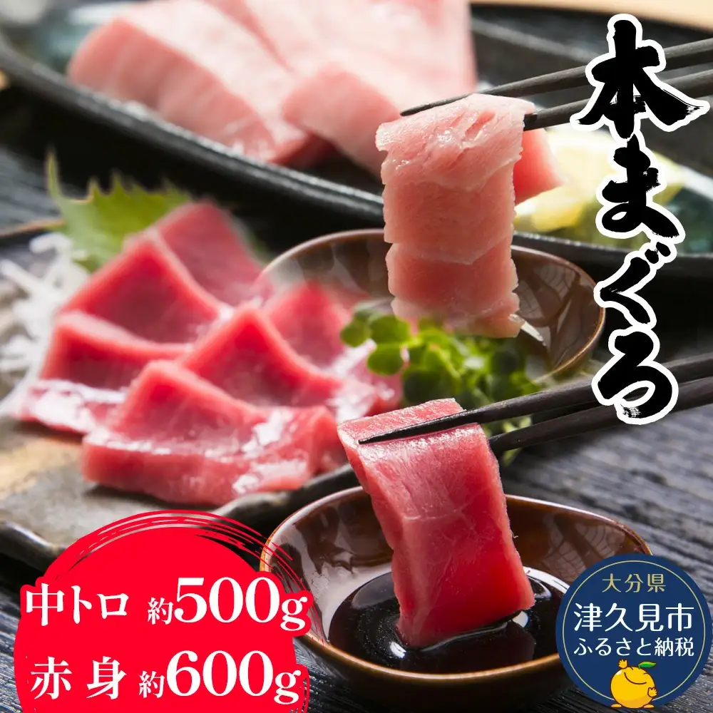本マグロ 中トロ 赤身 セット | 本マグロ 津久見市