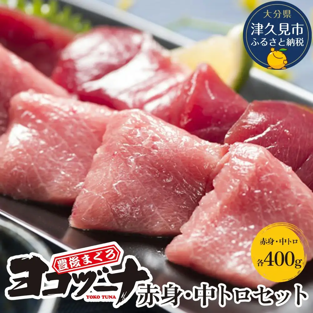 本マグロ ヨコヅーナ 赤身400g 中トロ400g | 本マグロ 津久見市