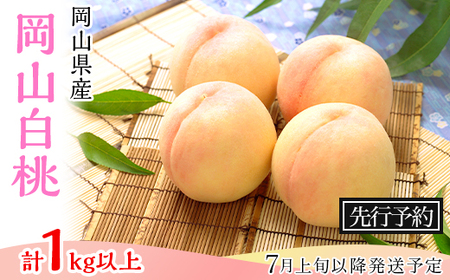 74-09 白桃4～5玉（1kg以上）【2026年7月上旬～8月上旬頃発送予定】