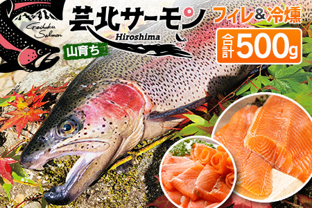 芸北サーモン 計500g 骨取りフィレ＆冷燻サーモンセット  山育ち サーモン フィレ スモークサーモン 刺身 サラダにおすすめ_OG065_003