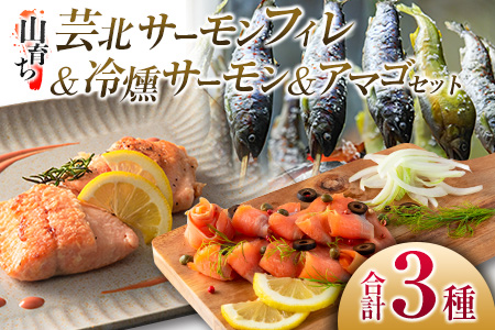 芸北サーモン計800g＆アマゴセット 骨取り サーモンフィレ 冷燻サーモン スモークサーモン 芸北アマゴ 清流育ちのお魚セット 山育ち芸北サーモン_OG065_004