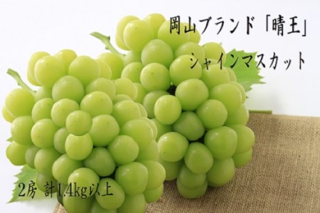 環-12【先行予約】岡山県産　秋のシャインマスカット「晴王」２房（約1.4kg）