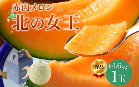 【2026年夏発送】北海道 赤肉メロン 北の女王 秀品 約1.6kg×1玉 令和8年 メロン 果物 フルーツ 旬 季節 希少 貴重 甘い 豊潤 国産 デザート ご褒美 産地直送 ギフト お祝い 贈答品 贈り物 お中元 常温 
