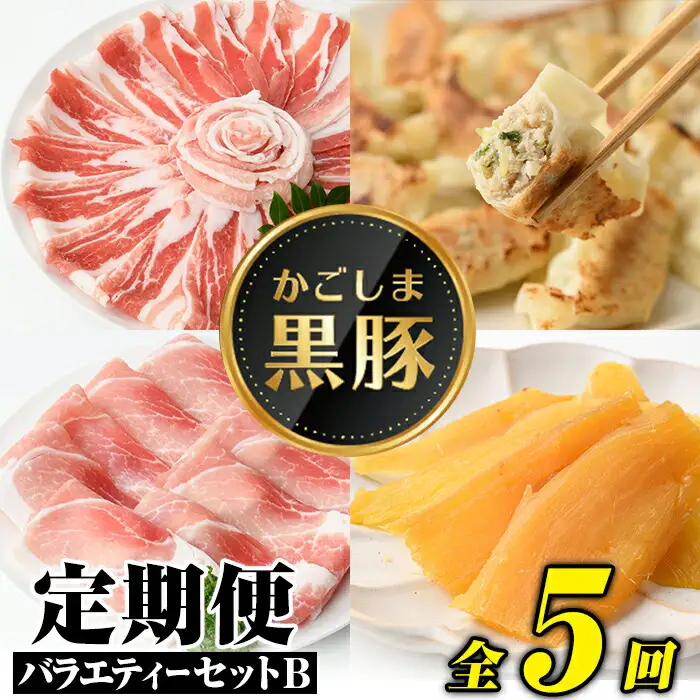 【E02007】＜定期便・全5回(毎月)＞バラエティーセットB！ 肩ロース バラ ロース 黒豚餃子 焼豚 干し芋 バラエティー 豚肉 かごしま黒豚ふるさと定期便 鹿児島 国産 九州産 お肉 精肉 ギョーザ ぎょうざ 干芋 焼肉 とんかつ しゃぶしゃぶ 冷凍 ギフト 贈答【和田養豚】