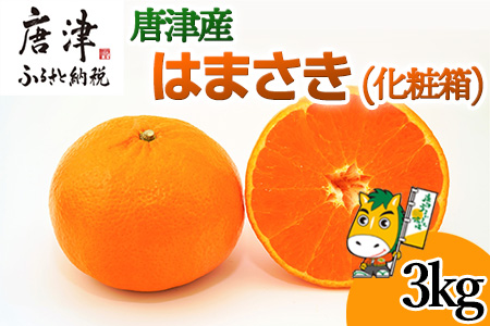 『先行予約』【令和9年1月下旬発送予定】唐津産 はまさき 3kg 化粧箱 みかん ミカン オレンジ フルーツ 果物 ギフト