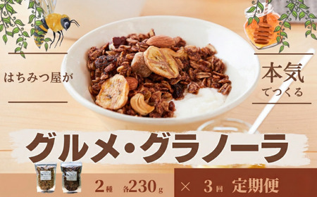 【3回定期便】グラノーラ 無添加 国産はちみつ使用【ノラノーラ ミケ&クロ】ココナッツ・ショコラ（大）2袋セット（230g×2） A-MT-B04A