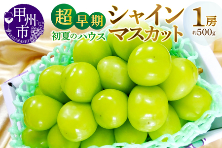 甲州市産『超早期 初夏のハウスシャインマスカット』約500g 1房【2026年発送】（MG）C-450 シャインマスカット フルーツ