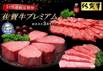 【佐賀牛プレミアム】ヒレシャトーブリアンなどオススメ3点セット【定期便5回】 (H065140)