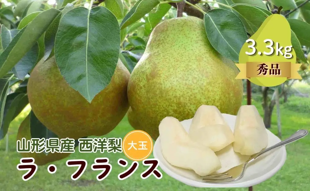 西洋梨（ラ・フランス）３.３ｋｇ　大玉　秀品　0009-2611
