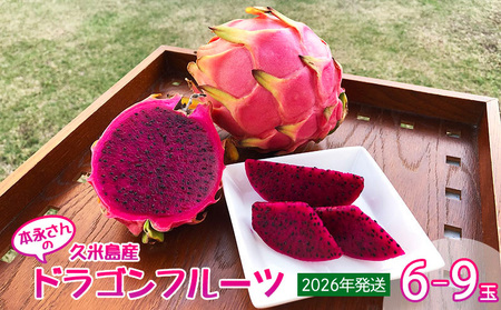 【2026年発送】本永さんの久米島産ドラゴンフルーツ 赤6～9玉（2.3kg以上） ドラゴンフルーツ 果物