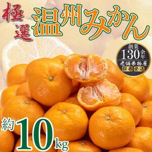 極撰！温州みかん　約10kg |みかん フルーツ 旬 美味しい みかん 新鮮 フルーツ みかん 詰合せ セット フルーツ 人気 フルーツ 厳選 おすすめ フルーツ
