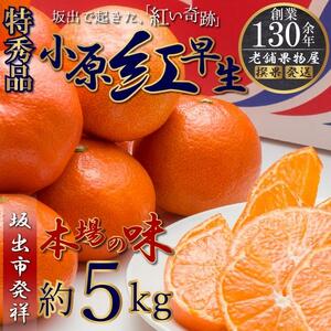 特秀品！小原紅早生みかん　約5kg【坂出発祥の真っ紅なお蜜柑】