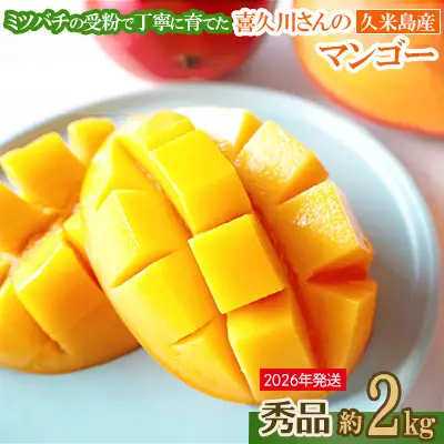 マンゴー 【2026年発送】ミツバチの受粉で育てた喜久川さんの完熟マンゴー 約2kg ◆秀品◆ フルーツ 果物