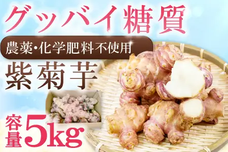 農薬化学肥料不使用の紫菊芋　5kg【菊芋 野菜 紫菊芋 芋 赤菊芋 農薬不使用 化学肥料不使用 季節限定 期間限定 数量限定 島根県 大田市】