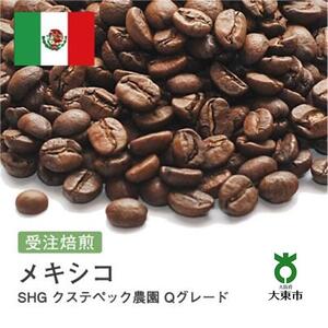 [豆]#31 受注焙煎！310g メキシコ SHG クステペック農園 Qグレード 珈琲豆 コーヒー豆 自家焙煎