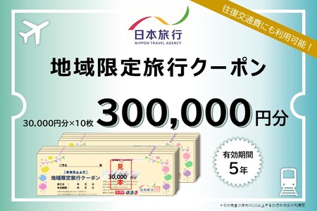 【ふるさと納税】栃木県日光市 地域限定旅行クーポン 30万円分 日本旅行 [0427]