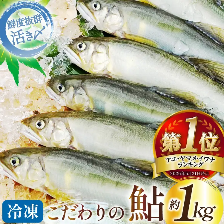 鮎 冷凍 こだわりの鮎 約1kg あゆ [452060794]