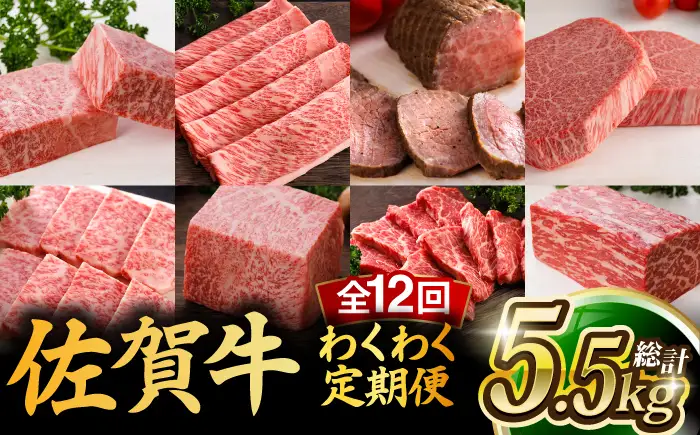 【全12回】佐賀牛 牛肉 定期便 約2-3人前 総計5.52kg UCC005 牛肉