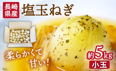 【2026年3月中旬-発送】塩玉ねぎ 約5kg（小玉） [SCB054] 玉ねぎ