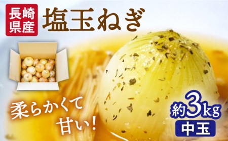 【2026年3月中旬-発送】塩玉ねぎ 約3kg [SCB056] 玉ねぎ
