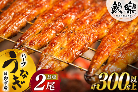 宮崎県産 ハーブ うなぎ 蒲焼 2尾 計300g 以上 タレ山椒付き [鰻楽 宮崎県 日向市 452061650]