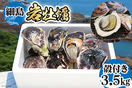 【期間限定発送】岩牡蠣 殻付き 細島 岩ガキ 約3.5kg [道の駅日向 宮崎県 日向市 452060570]