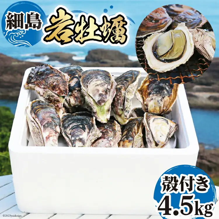 【期間限定発送】岩牡蠣 殻付き 細島 岩ガキ 約4.5kg [道の駅日向 宮崎県 日向市 452060571]