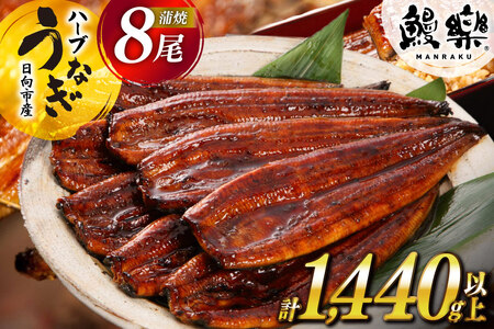 うなぎ 国産 宮崎 蒲焼 ハーブ 8尾 計1440g [452061245] うなぎ
