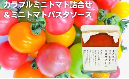 「栗林農園」素のままパスタソースとカラフルミニトマト詰合せ セット 素材の味 無水調理 凝縮 無着色 無香料 化学調味料 不使用 合成保存料 温室栽培 6品種 