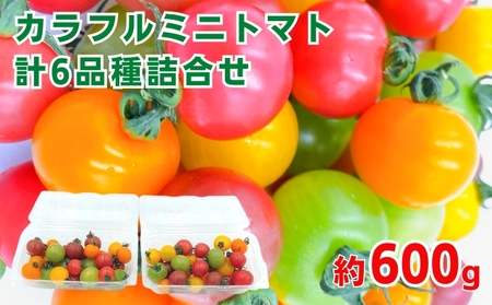 「栗林農園」カラフルミニトマト詰合 600g トマトベリー ピーチチェリー イエローミミ サングリーン トスカーナバイオレット プリンセスオレンジ 6品種 