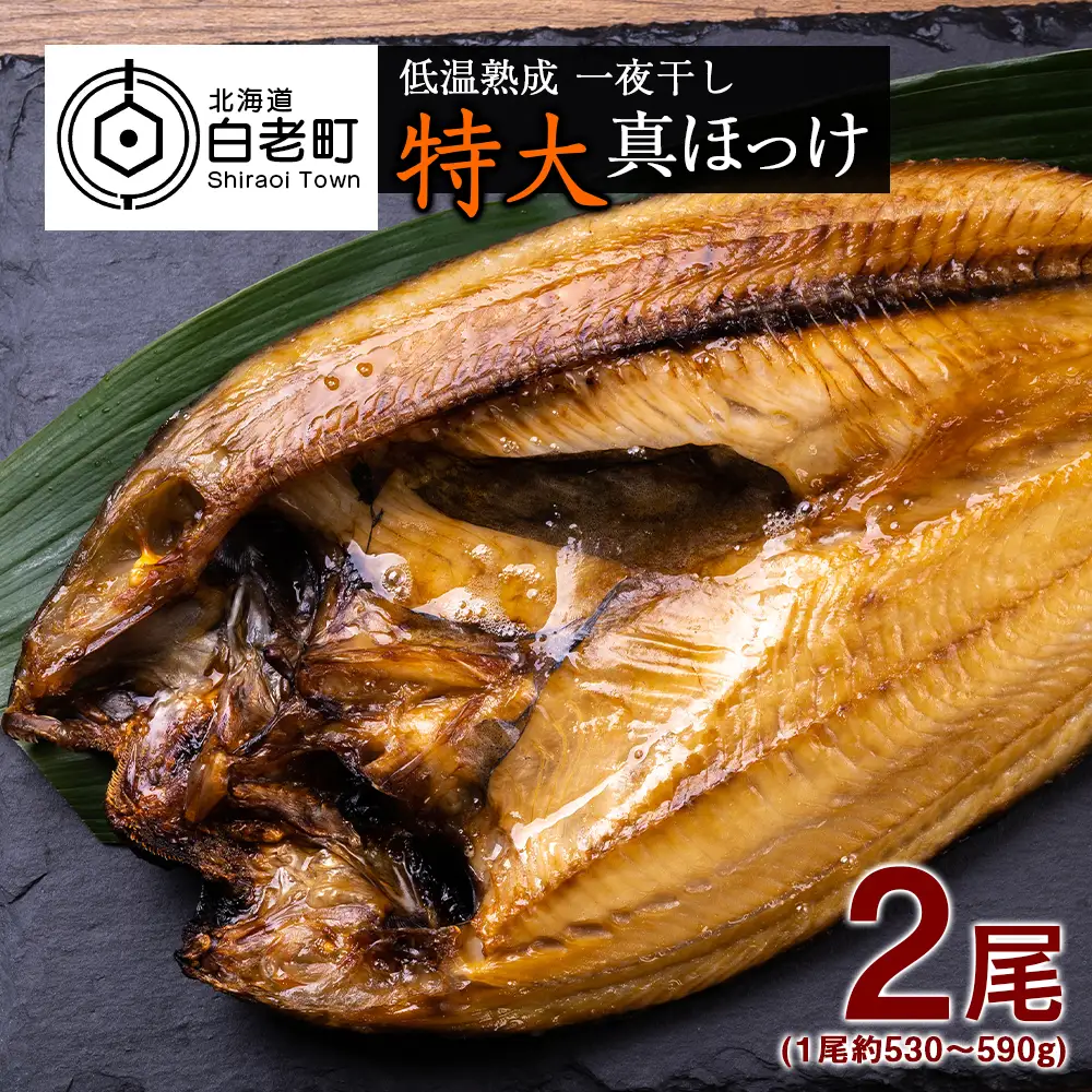 低温熟成 一夜干し 特大 真ほっけ ２尾 ＜北海道産＞  AA024
